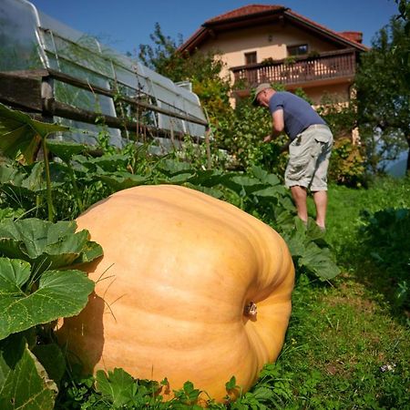 Tourist Farm Kolar Villa Ljubno Exterior photo