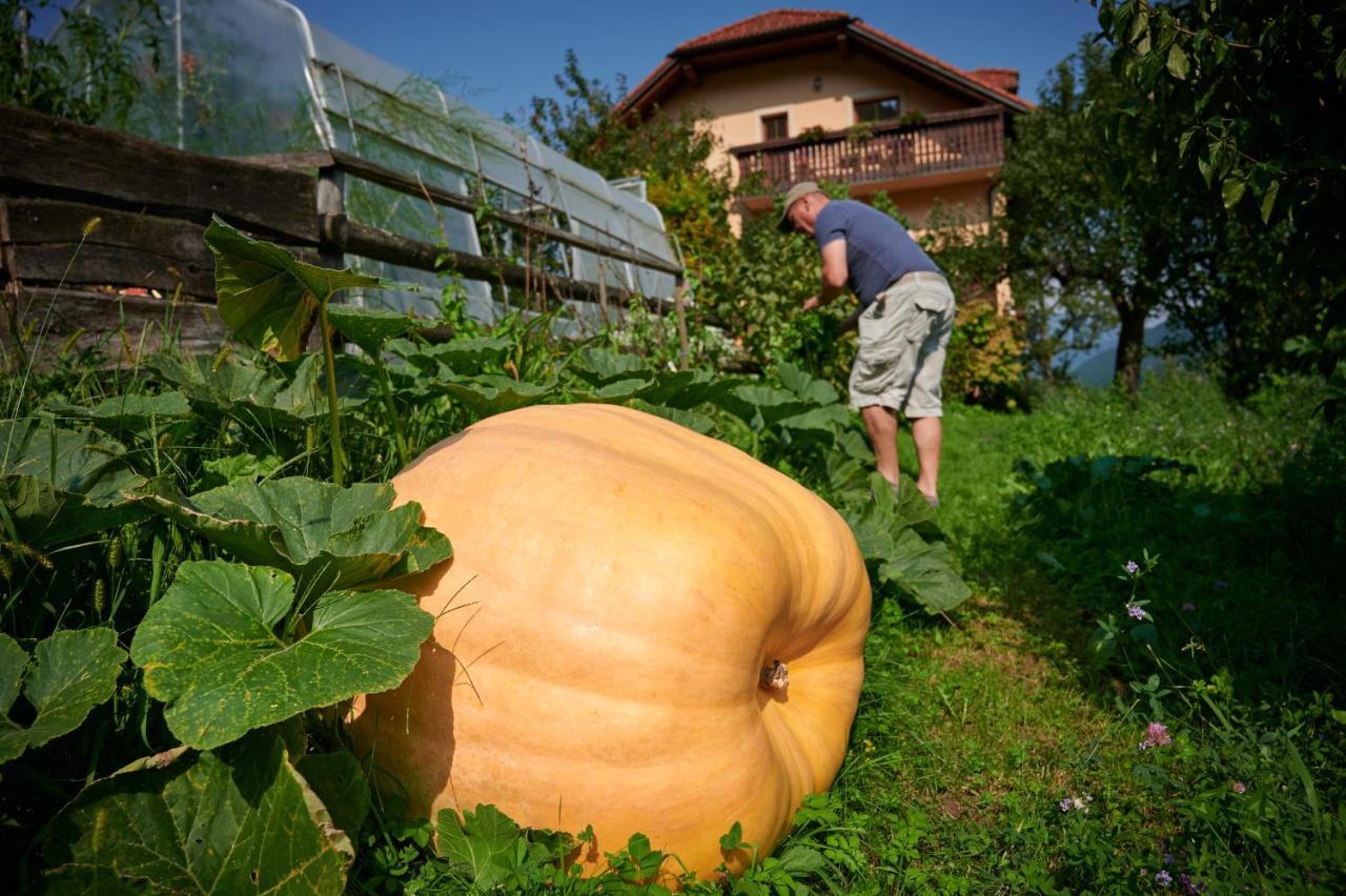 Tourist Farm Kolar Villa Ljubno Exterior photo